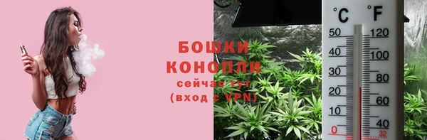 амф Дмитровск