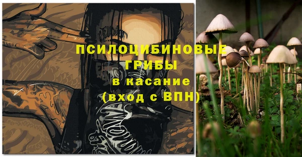 амф Дмитровск
