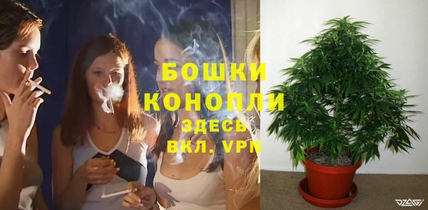 хмурый Дмитров