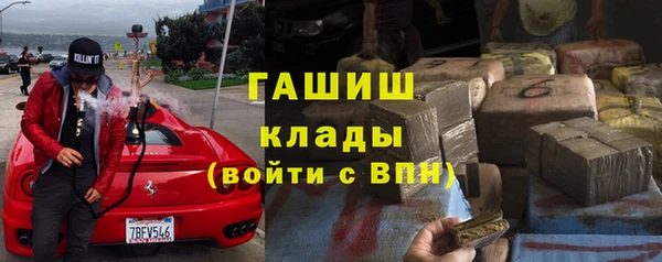 хмурый Дмитров