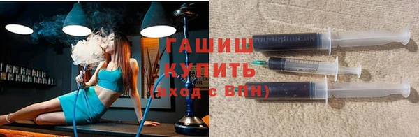 хмурый Дмитров