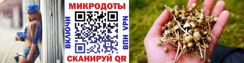Купить закладки  Черноголовка  Псилоцибиновые грибы Psilocybine cubensis 